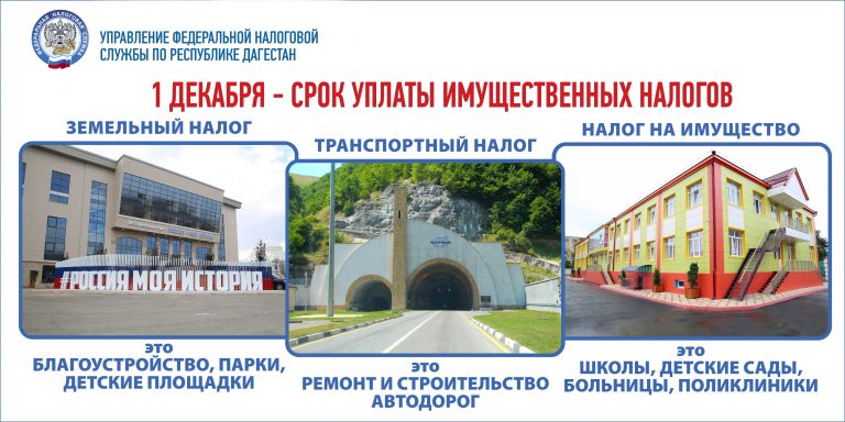 Имущественные налоги и НДФЛ за 2024 год до 1 декабря: сроки уплаты, способы получения уведомлений и оплаты